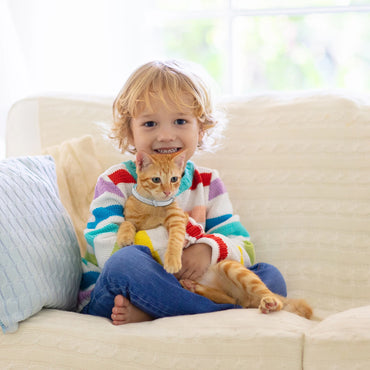 4Pcs Cat Calming Collar Soothing Collar Adjustable Cat Pheromone Collar Helps with Aggression Comfort Cat Calm Collar for Cats