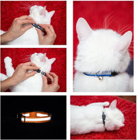6-Pack Reflective Cat Collars with Bell, Safe Breakaway Nylon, Mixed Colors, Ideal for Cats, Includes Charms.