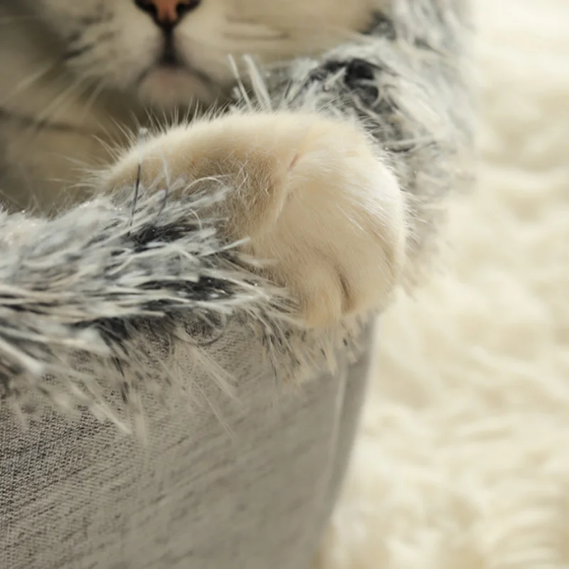 Pet House for Small Dog Cat Bed House Portable Enclosed Plush Pet Kitten Nest Winter Warm Soft Pet Cave Kennel Deep Sleep Sofa