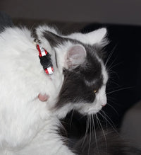6-Pack Reflective Cat Collars with Bell, Safe Breakaway Nylon, Mixed Colors, Ideal for Cats, Includes Charms.